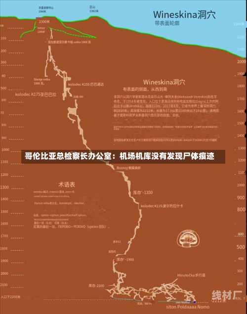 哥伦比亚总检察长办公室：机场机库没有发现尸体痕迹