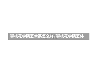 攀枝花学院艺术系怎么样/攀枝花学院艺体