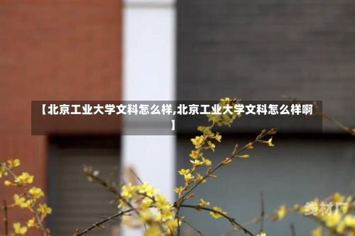 【北京工业大学文科怎么样,北京工业大学文科怎么样啊】