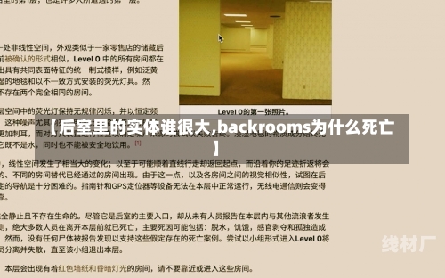 【后室里的实体谁很大,backrooms为什么死亡】