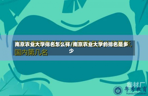 南京农业大学排名怎么样/南京农业大学的排名是多少