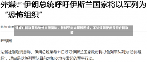 外媒：阿联酋总统外交顾问称，叙利亚尚未摆脱困境，不知道阿萨德是否在阿联酋