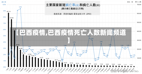 【巴西疫情,巴西疫情死亡人数新闻频道】