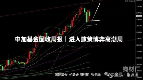 中加基金固收周报︱进入政策博弈高潮周