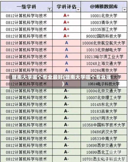 暨南大学哪个专业最好(暨南大学哪个专业强)