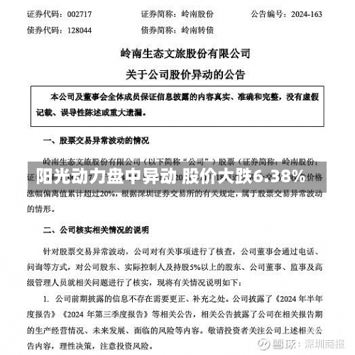 阳光动力盘中异动 股价大跌6.38%