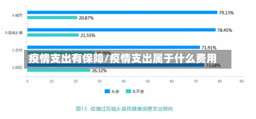 疫情支出有保障/疫情支出属于什么费用