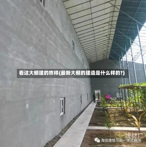 看这大棚建的咋样(最新大棚的建造是什么样的?)