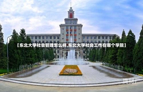 【东北大学社会管理怎么样,东北大学社会工作在哪个学院】