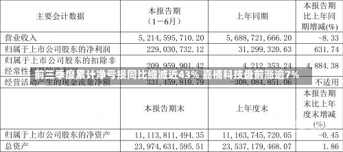 前三季度累计净亏损同比缩减近43% 嘉楠科技盘前涨逾7%