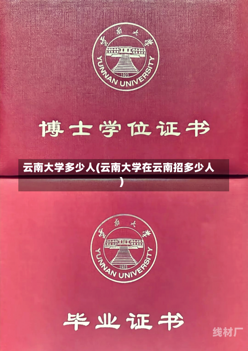 云南大学多少人(云南大学在云南招多少人)