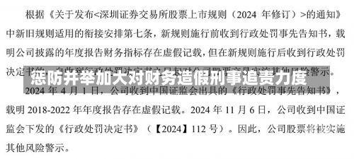 惩防并举加大对财务造假刑事追责力度