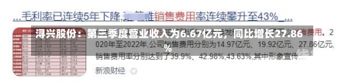 浔兴股份：第三季度营业收入为6.67亿元，同比增长27.86%