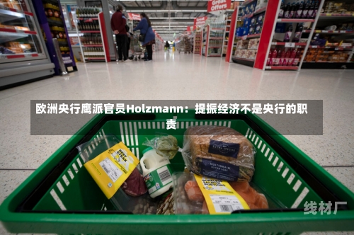 欧洲央行鹰派官员Holzmann：提振经济不是央行的职责