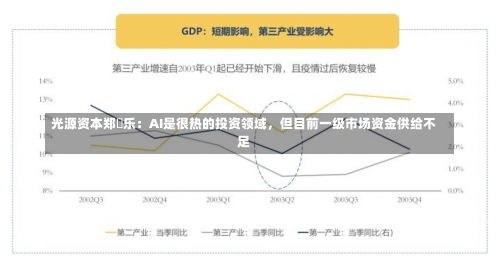 光源资本郑烜乐：AI是很热的投资领域，但目前一级市场资金供给不足