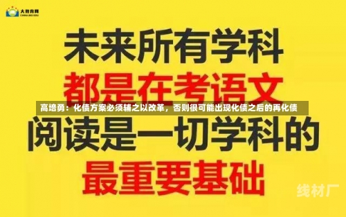 高培勇：化债方案必须辅之以改革，否则很可能出现化债之后的再化债