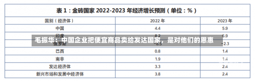 毛振华：中国企业把便宜商品卖给发达国家，是对他们的恩惠