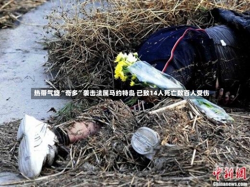 热带气旋“奇多”袭击法属马约特岛 已致14人死亡数百人受伤