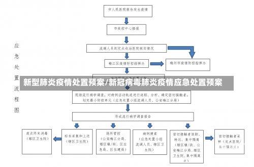 新型肺炎疫情处置预案/新冠病毒肺炎疫情应急处置预案