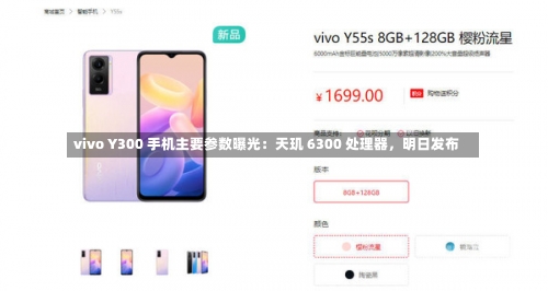 vivo Y300 手机主要参数曝光：天玑 6300 处理器，明日发布