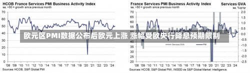 欧元区PMI数据公布后欧元上涨 涨幅受欧央行降息预期限制