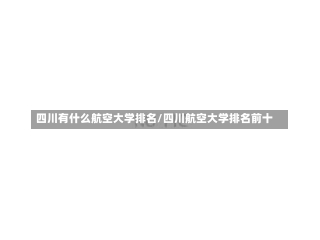 四川有什么航空大学排名/四川航空大学排名前十