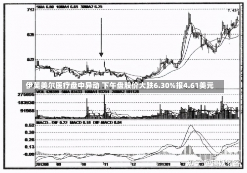 伊芙美尔医疗盘中异动 下午盘股价大跌6.30%报4.61美元