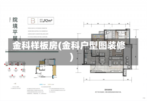 金科样板房(金科户型图装修)