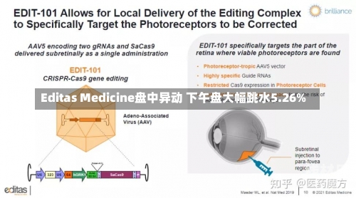 Editas Medicine盘中异动 下午盘大幅跳水5.26%