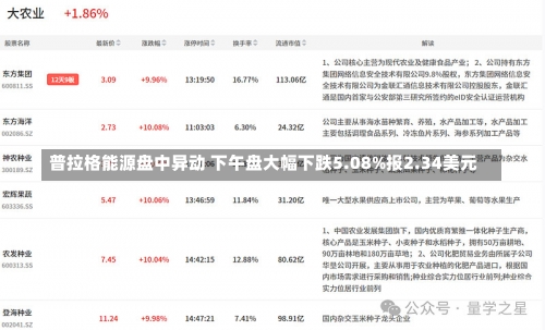 普拉格能源盘中异动 下午盘大幅下跌5.08%报2.34美元