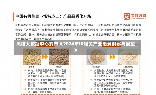 黑猫大数据中心发布《2024年IP相关产业消费洞察与展望》