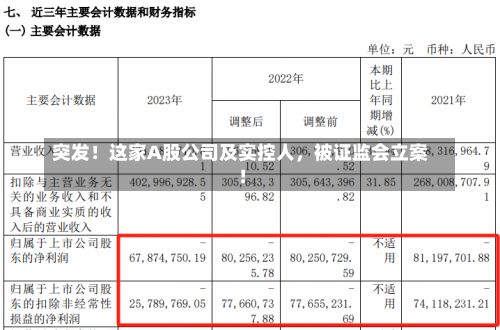 突发！这家A股公司及实控人，被证监会立案！