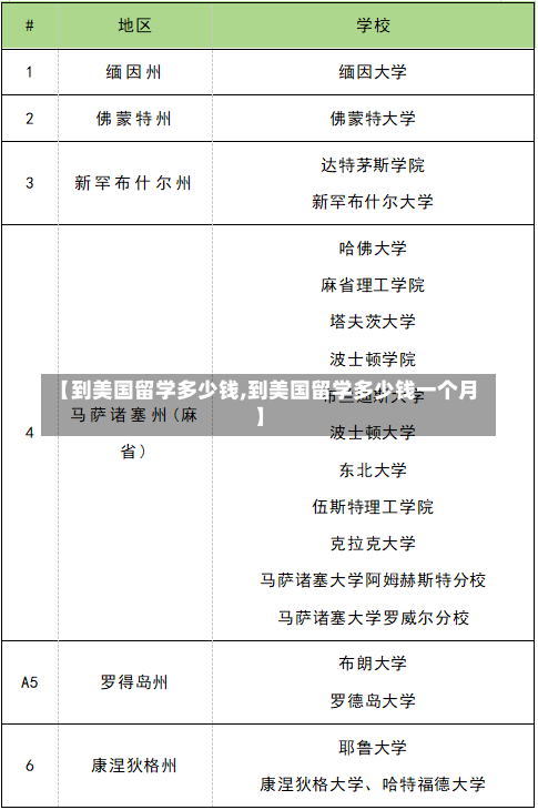 【到美国留学多少钱,到美国留学多少钱一个月】