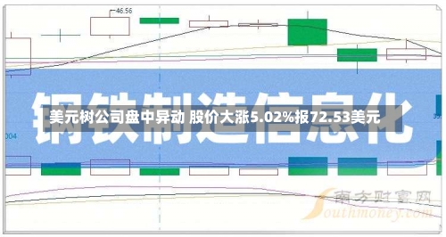 美元树公司盘中异动 股价大涨5.02%报72.53美元