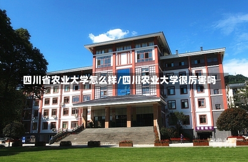 学校 第21页