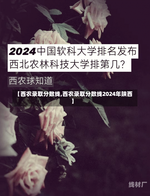 【西农录取分数线,西农录取分数线2024年陕西】