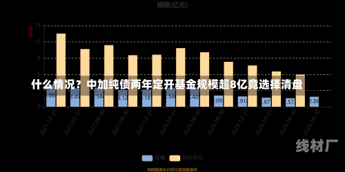 什么情况？中加纯债两年定开基金规模超8亿竟选择清盘