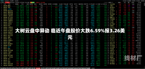 大树云盘中异动 临近午盘股价大跌6.59%报3.26美元