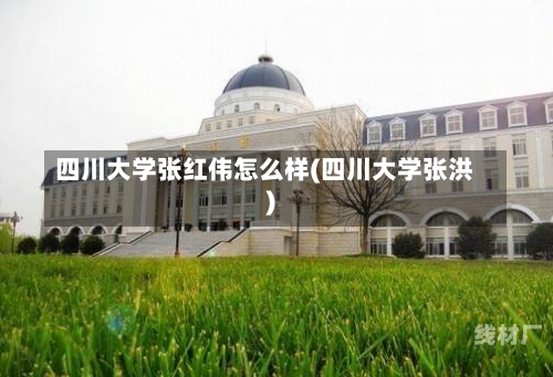 四川大学张红伟怎么样(四川大学张洪)