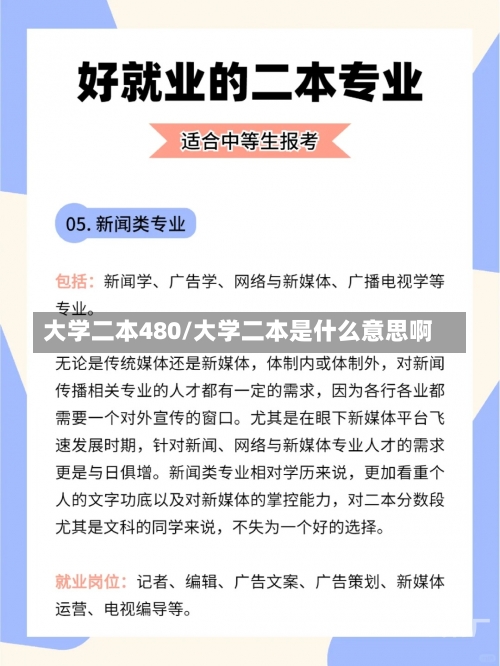 大学二本480/大学二本是什么意思啊