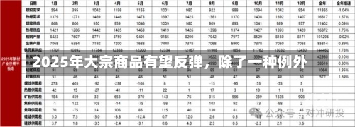 2025年大宗商品有望反弹，除了一种例外