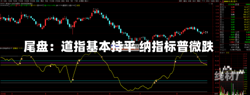 尾盘：道指基本持平 纳指标普微跌