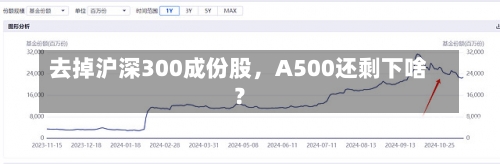 去掉沪深300成份股，A500还剩下啥？