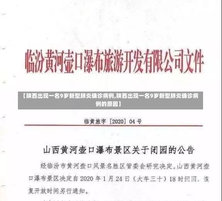 【陕西出现一名9岁新型肺炎确诊病例,陕西出现一名9岁新型肺炎确诊病例的原因】