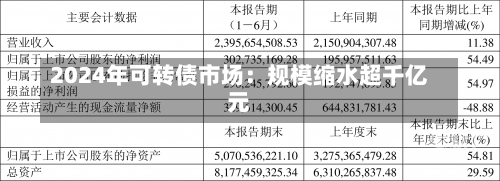 2024年可转债市场：规模缩水超千亿元