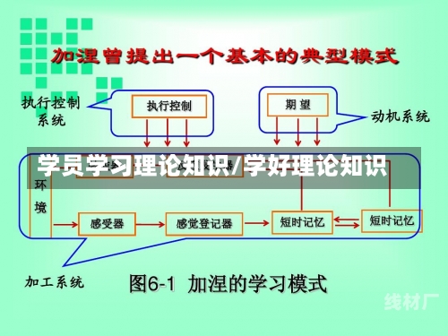 学员学习理论知识/学好理论知识