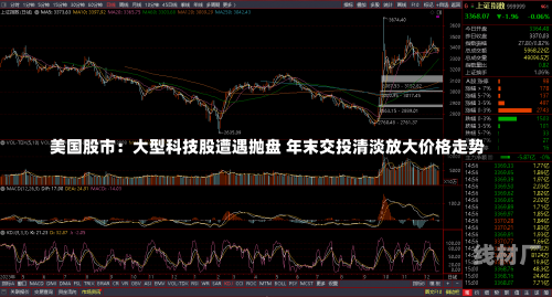 美国股市：大型科技股遭遇抛盘 年末交投清淡放大价格走势