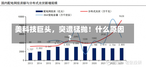 美科技巨头，突遭猛抛！什么原因？