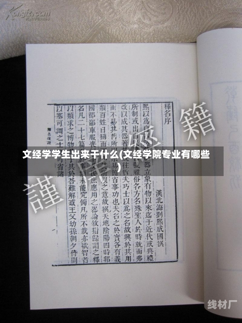 文经学学生出来干什么(文经学院专业有哪些)