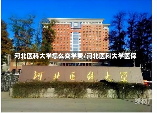 学费 第8页